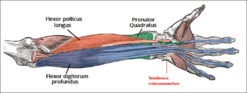 linburg comstock syndrome