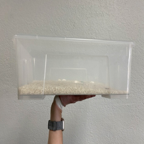 手腕背侧疼痛