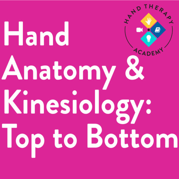 Hand Therapy Academy Home Hand Therapy Academy