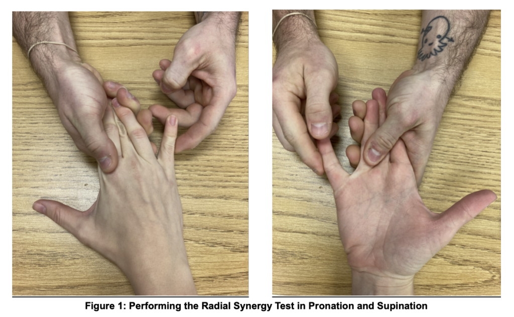 Radiale Synergiediagnostik