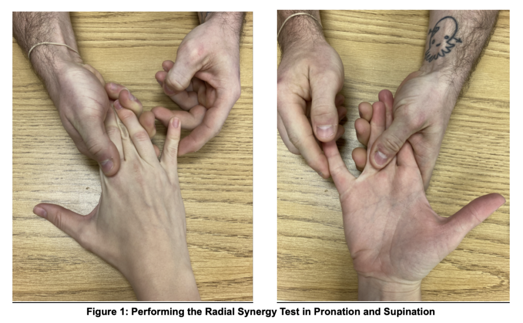 Radial Synergy Diagnostic