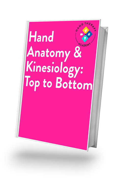 Anatomy and Kinesiology