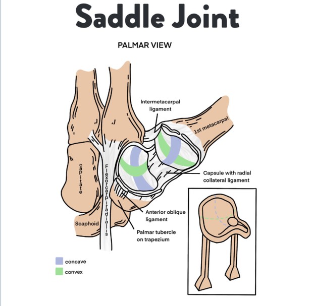 CMC Arthritis Treatment