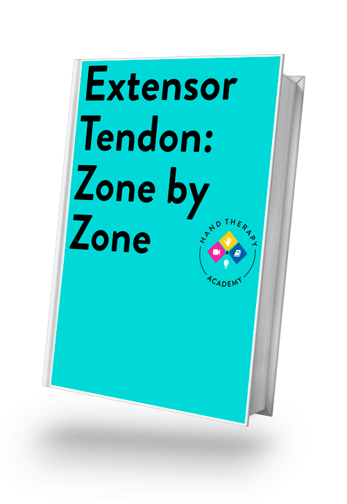 Extensor Tendon Zones