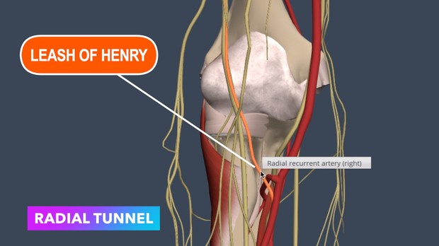 peripheral nerve injuries