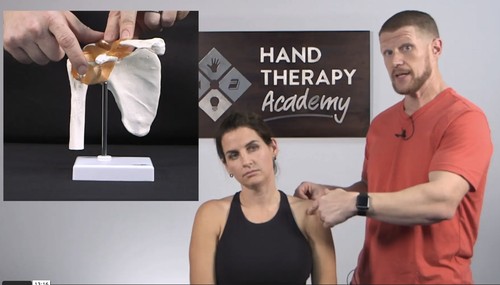 Shoulder Pain Rehab