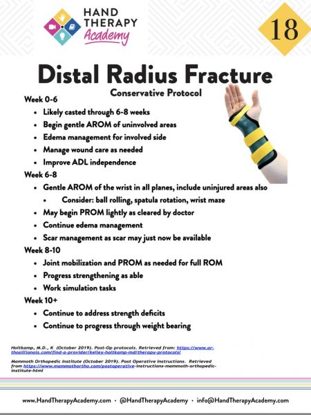 Distal Radius Fracture Training E-Book