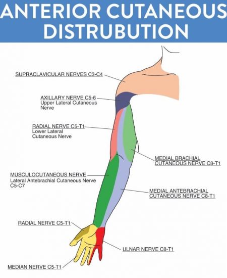 peripheral nerve injuries