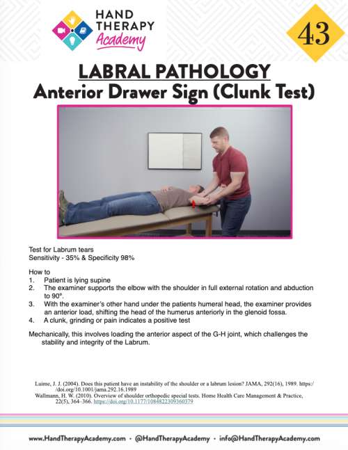 Provocative Tests Simplified E-Book