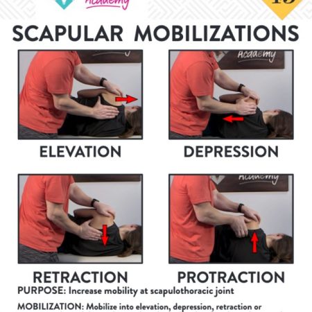 Shoulder Pain Rehab