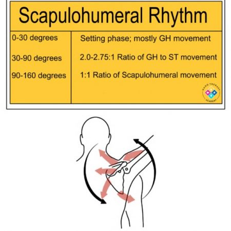 Shoulder Pain Rehab