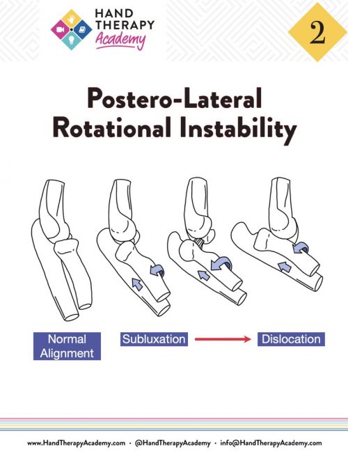 lateral collateral ligament