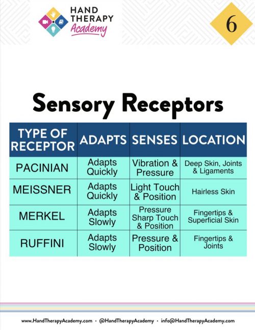 Hand therapy charts
