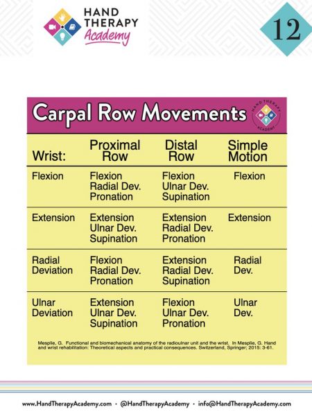 Hand therapy charts