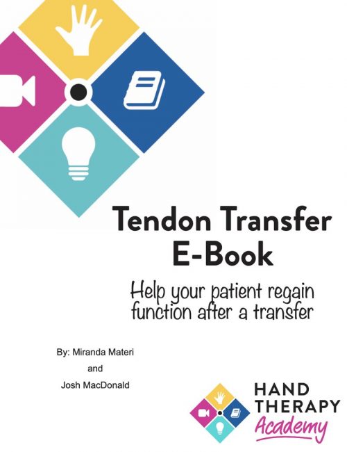 Tendon Transfer Training E-Book
