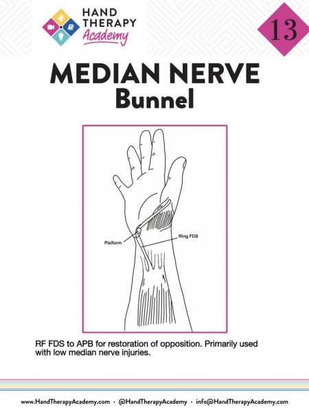Tendon Transfer Training E-Book