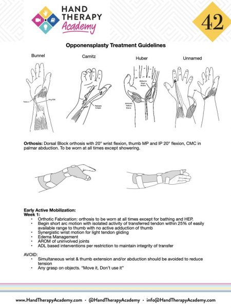 Tendon Transfer Training E-Book